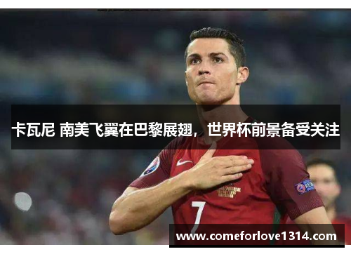 卡瓦尼 南美飞翼在巴黎展翅，世界杯前景备受关注